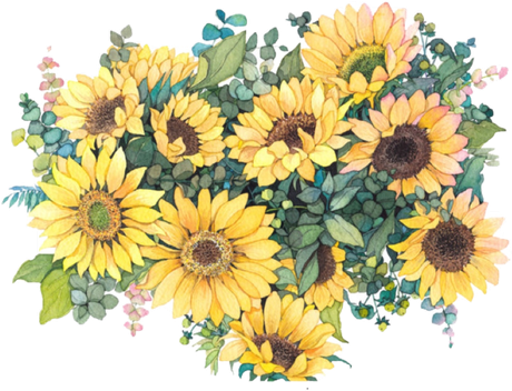 Aesthetic Sunflower Vector Png (black, indigo, white)