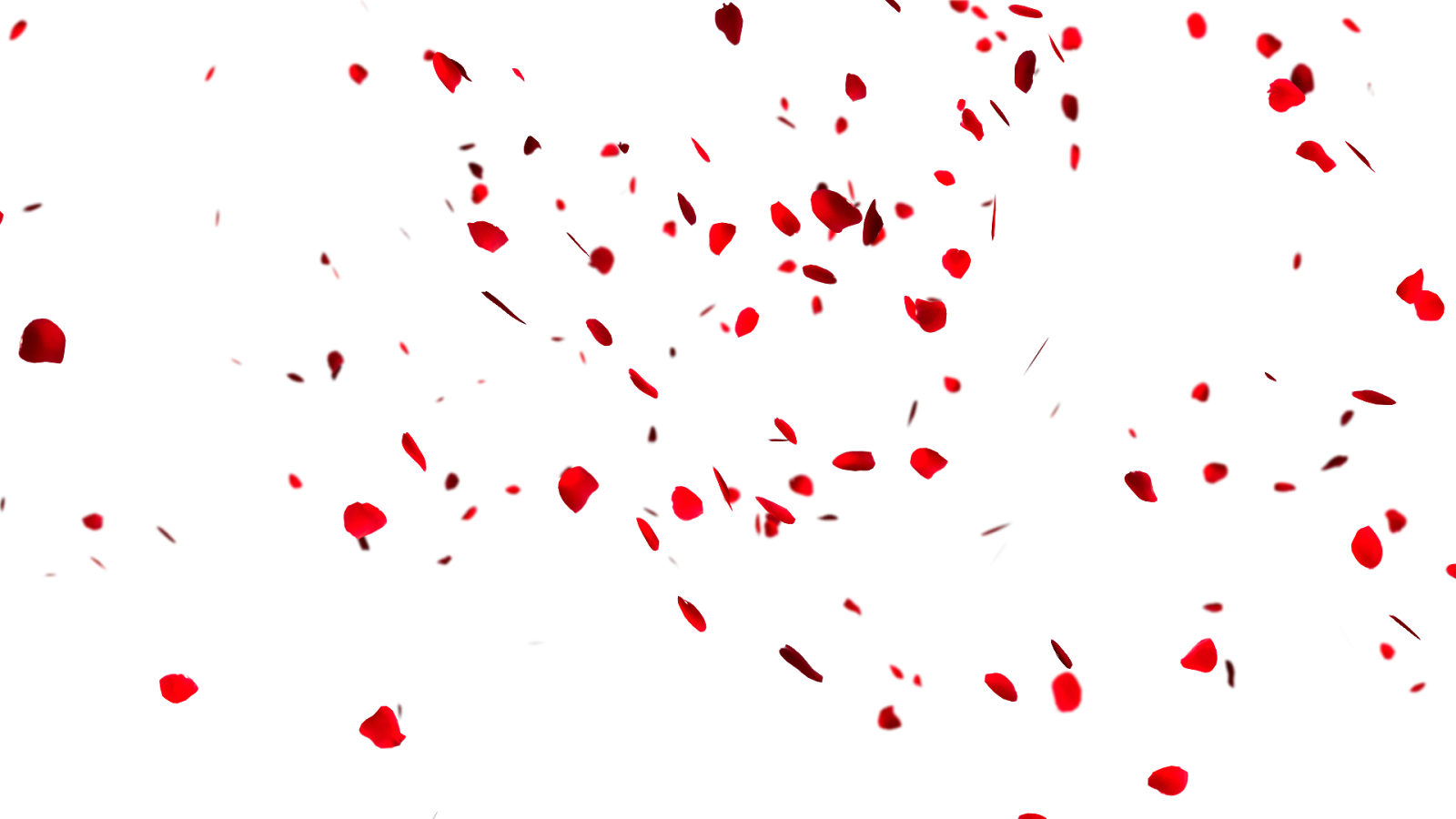 Petal Png Background Isolated Image (black)