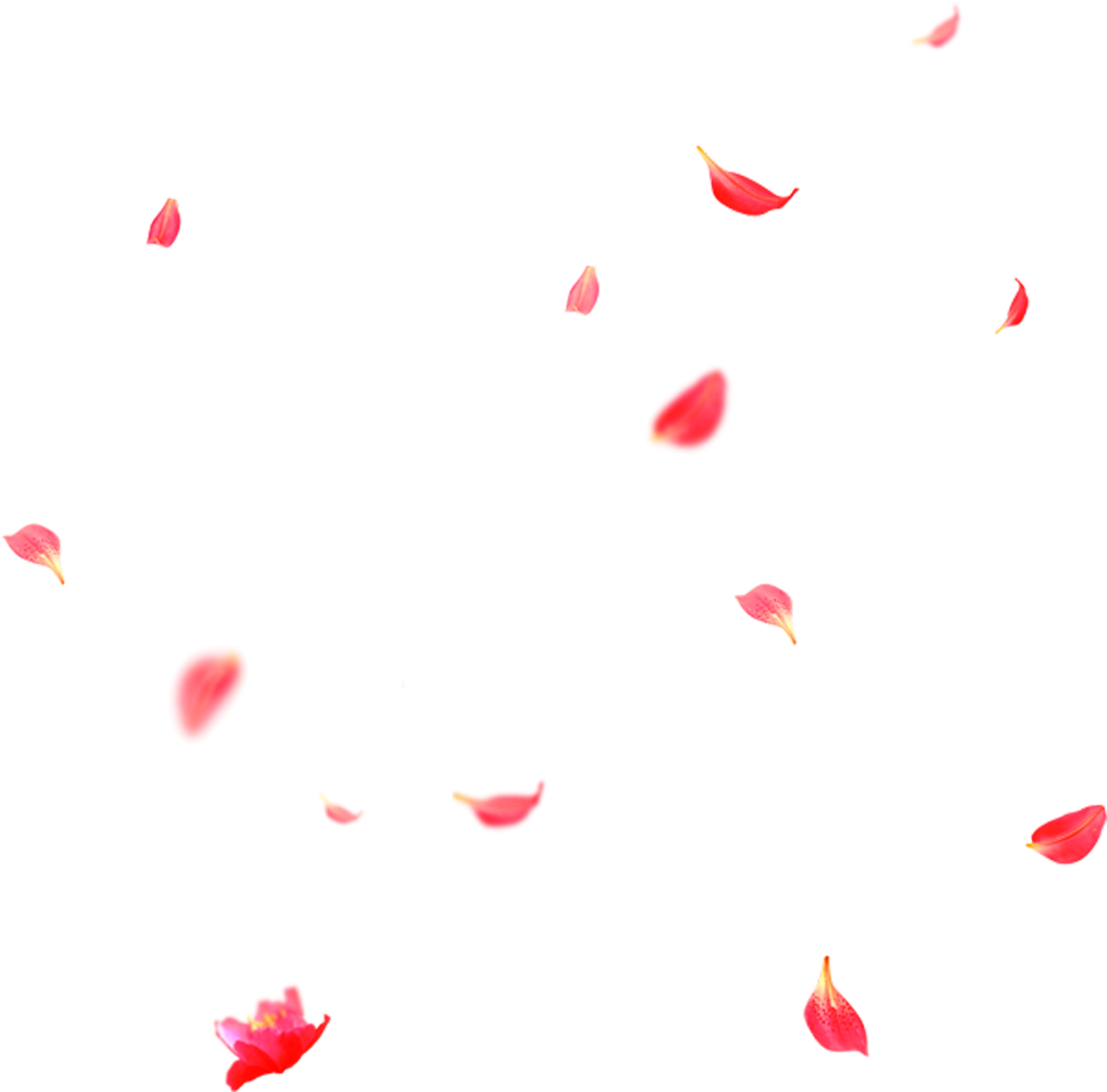 Petal Png Clipart (black, salmon)