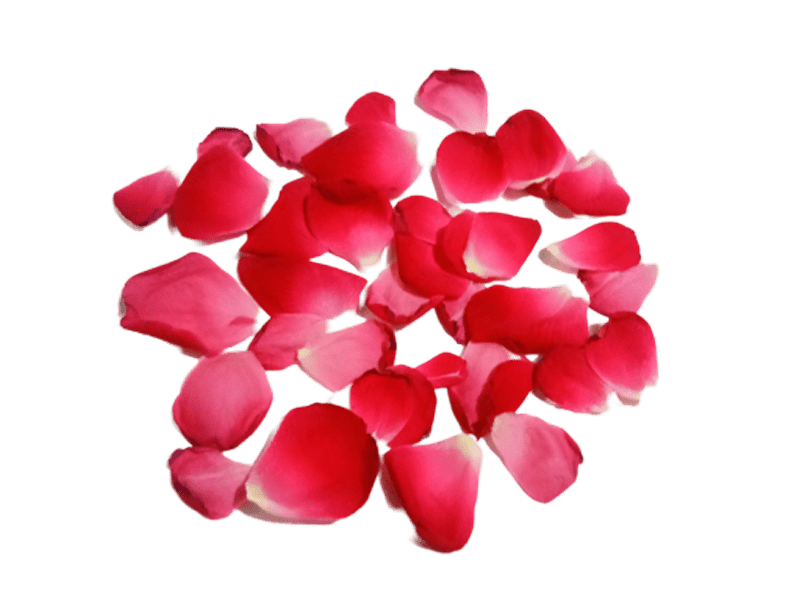 Petal Png Hd Isolated (red, black, maroon)