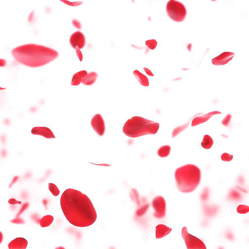 Petal Png Hd (black, white)