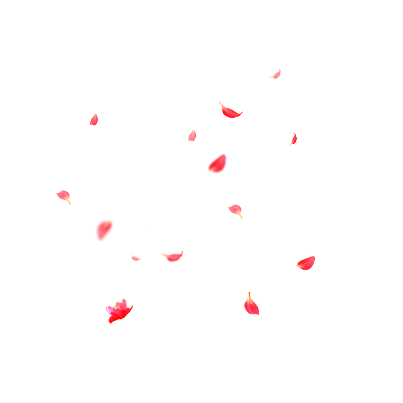 Petal Png Isolated Free Download (black, salmon)