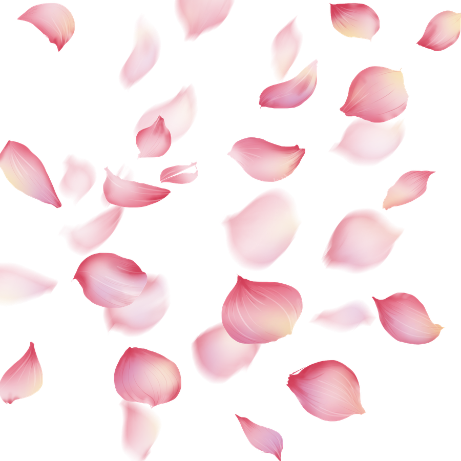 Petal Png Isolated Hd Pictures (black)