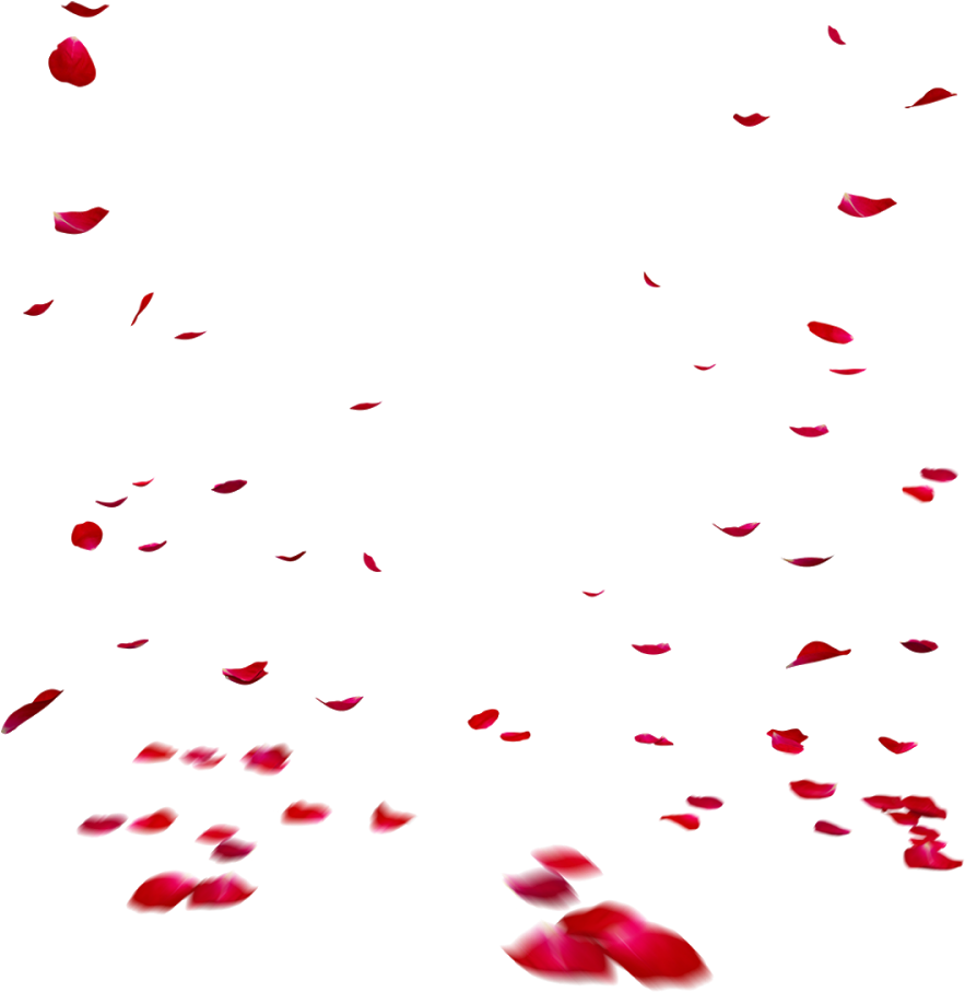 Petal Png Isolated Picture (black)