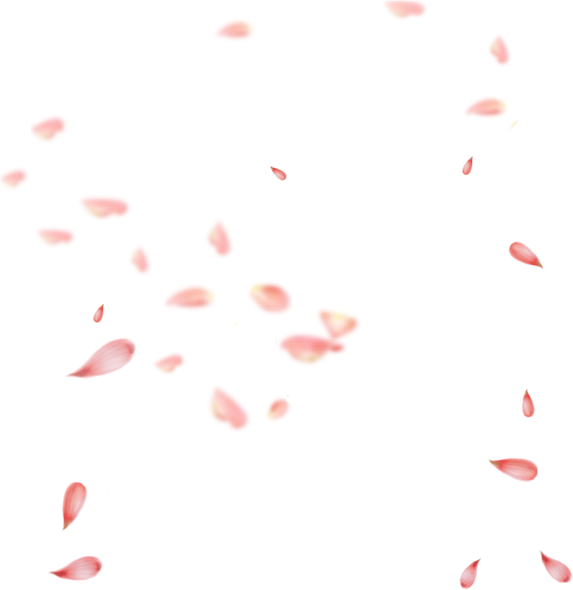 Petal Png Isolated Transparent Image (black, pink)