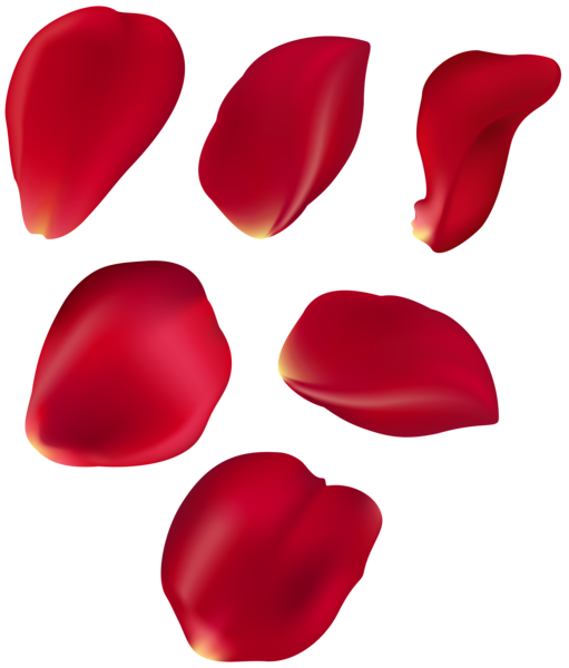 Petal Png Picture (black, maroon)