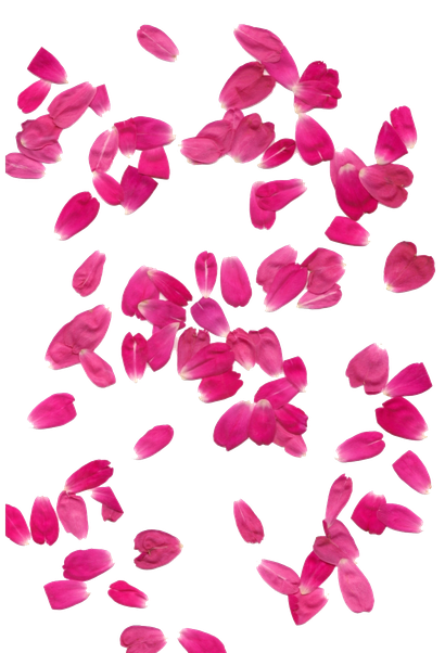 Petal Png (black)