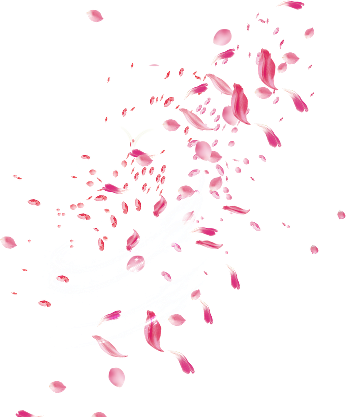 Petal Transparent Isolated Png (black, white)