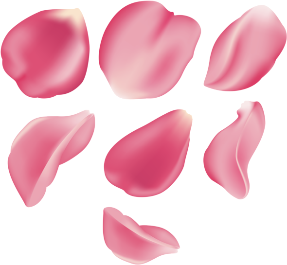 Petal Transparent Png (black, pink, salmon)