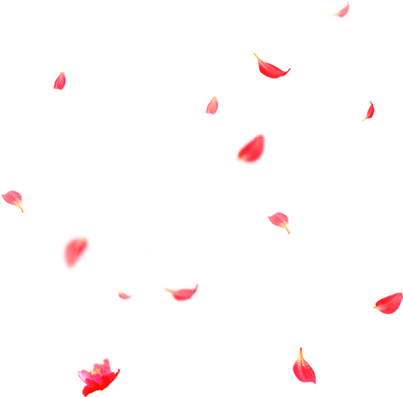 Petals Download Png Image (black, salmon)