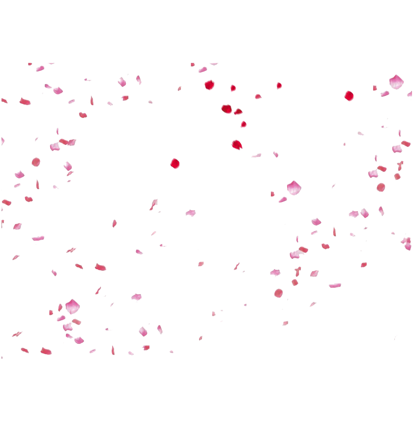 Petals Falling No Background (white)