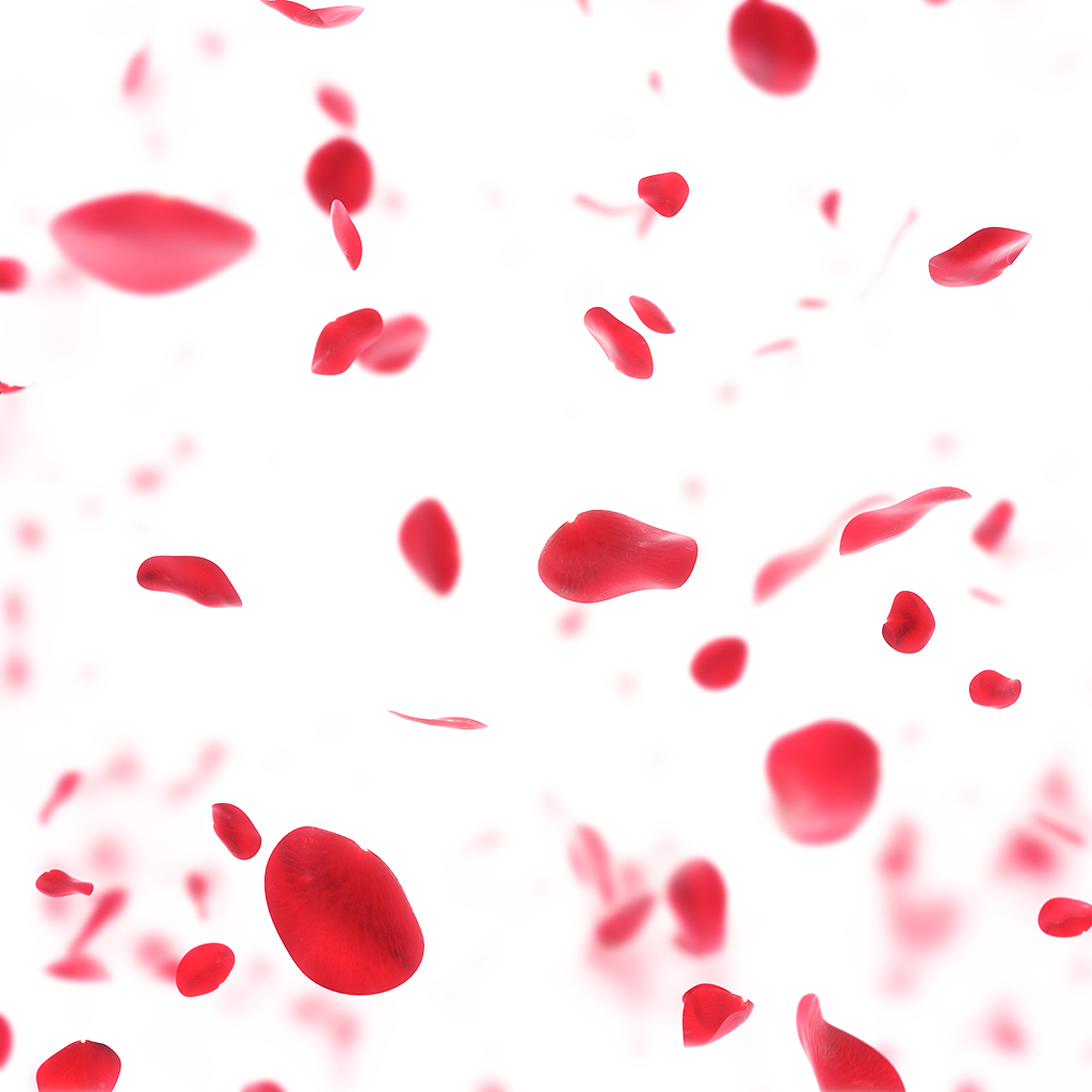 Petals Falling Png Cutout (white)