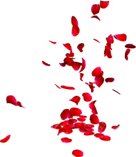 Petals Falling Png Hd Image (black, maroon, red)