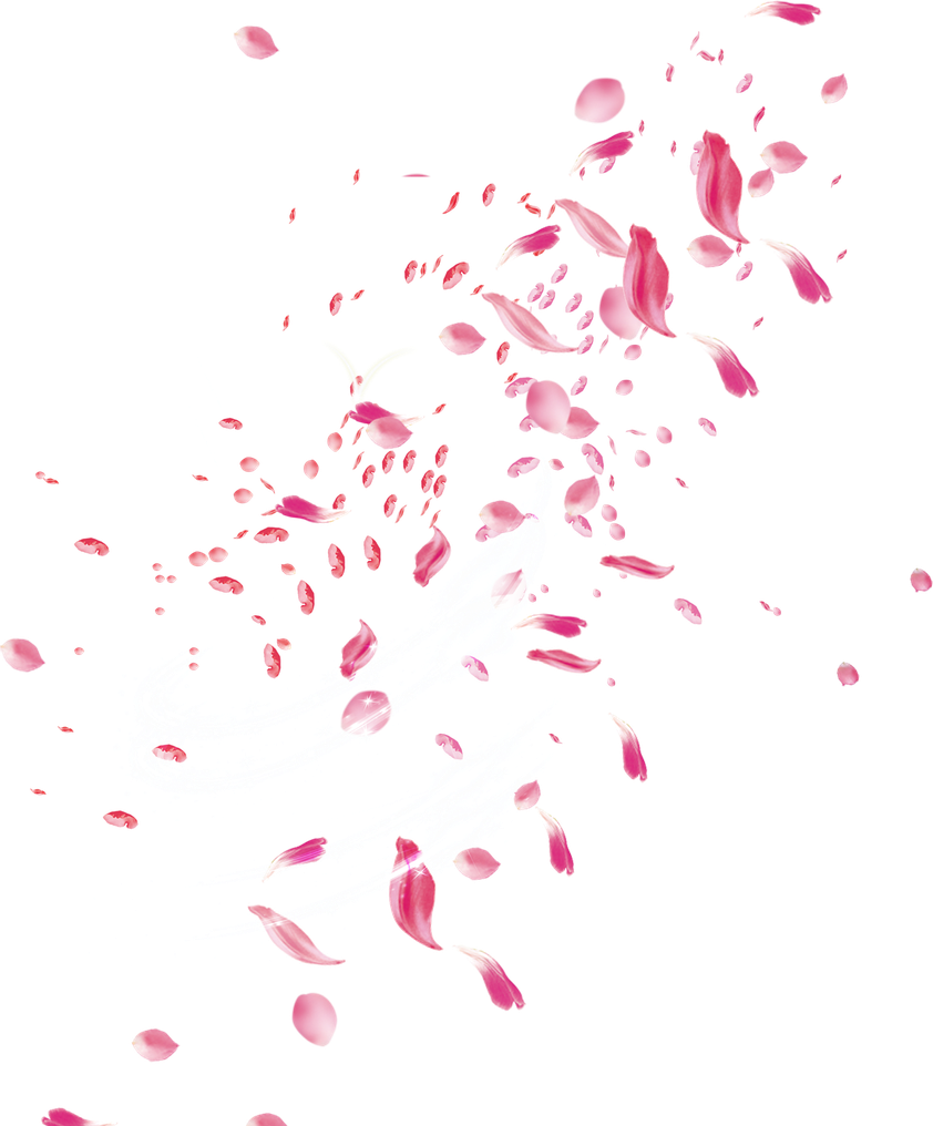 Petals Falling Png (black, white)