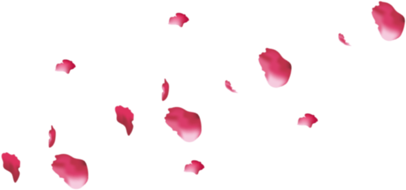 Petals Flower Png Photos (black, salmon)