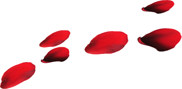 Petals Flower Png Picture (black, red)