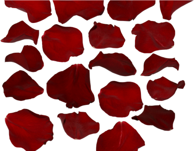 Petals Flower (black, maroon)