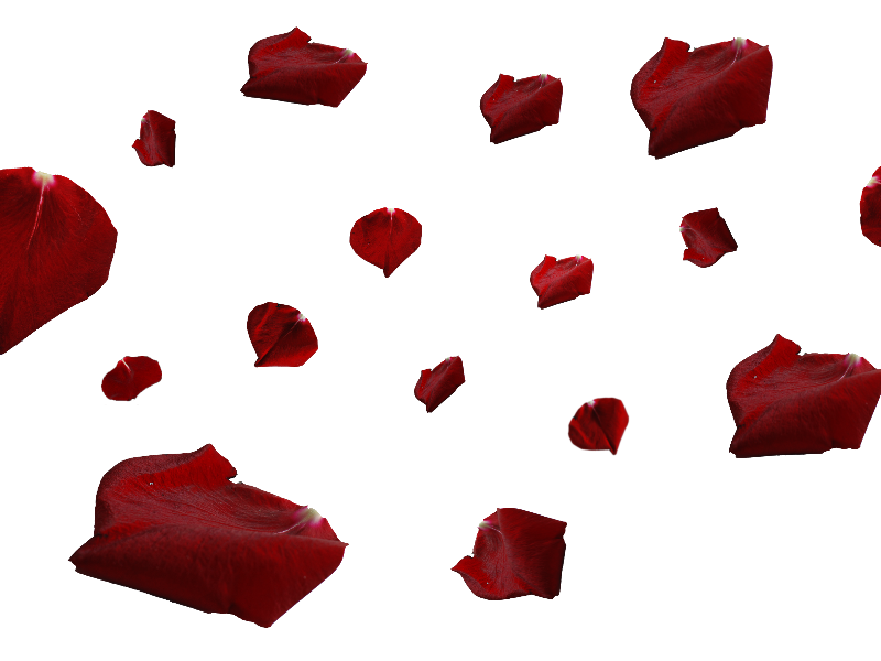 Petals Png Hd Image (black, maroon)