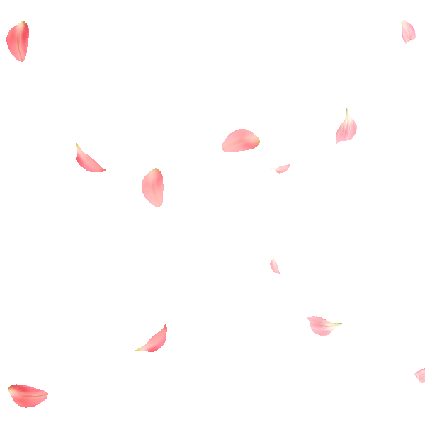 Petals Png Hd (white, pink)