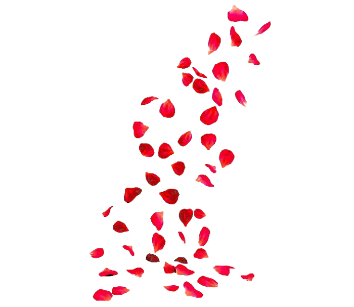 Petals Png Image Hd (black)