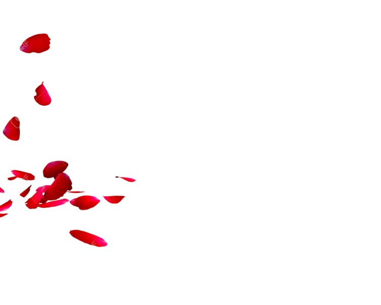 Petals Png Isolated File (red, black, maroon)