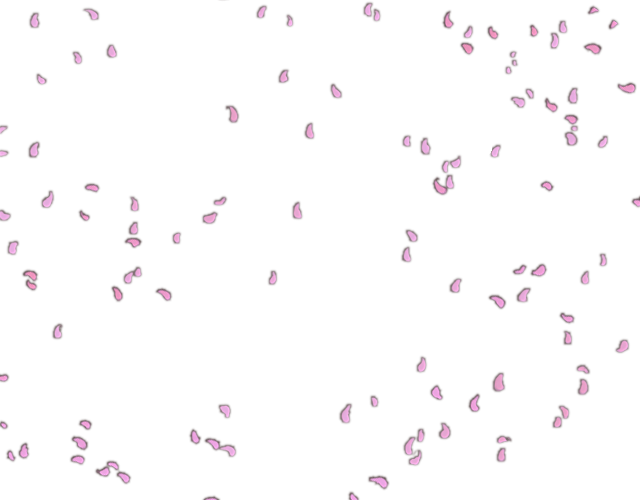 Petals Png Isolated Image (lavender, black, white)