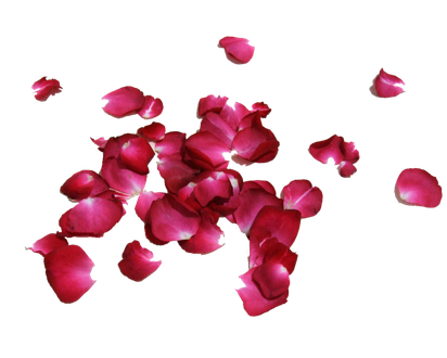 Petals Png Isolated Pic (black)