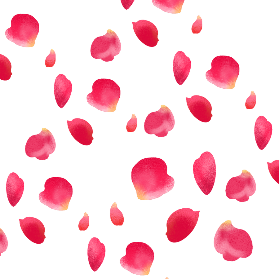 Petals Png Photo (red, black, salmon)