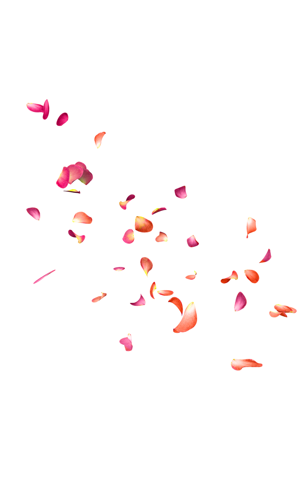 Petals Png Photos (black)