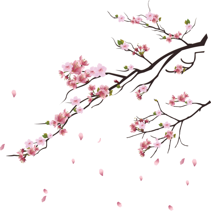 Petals Png Picture (black)