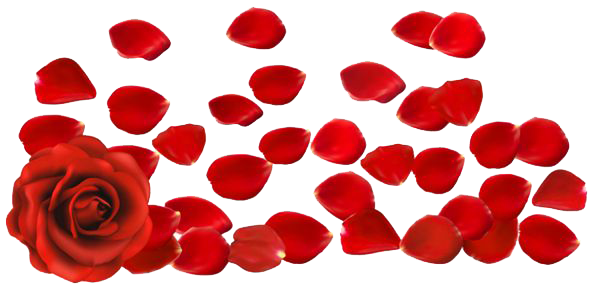 Petals Png (red, white, maroon)