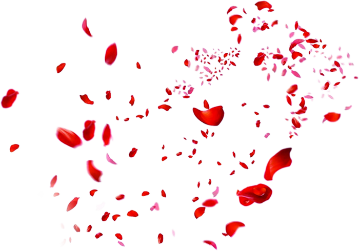 Petals Rose Png Cutout (black)