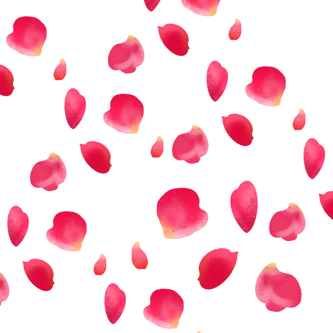 Petals Rose Png File (black, salmon, red)