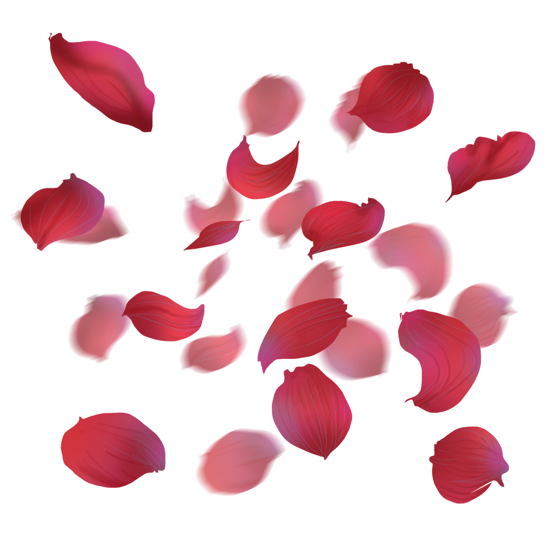 Petals Rose Png Image (black)