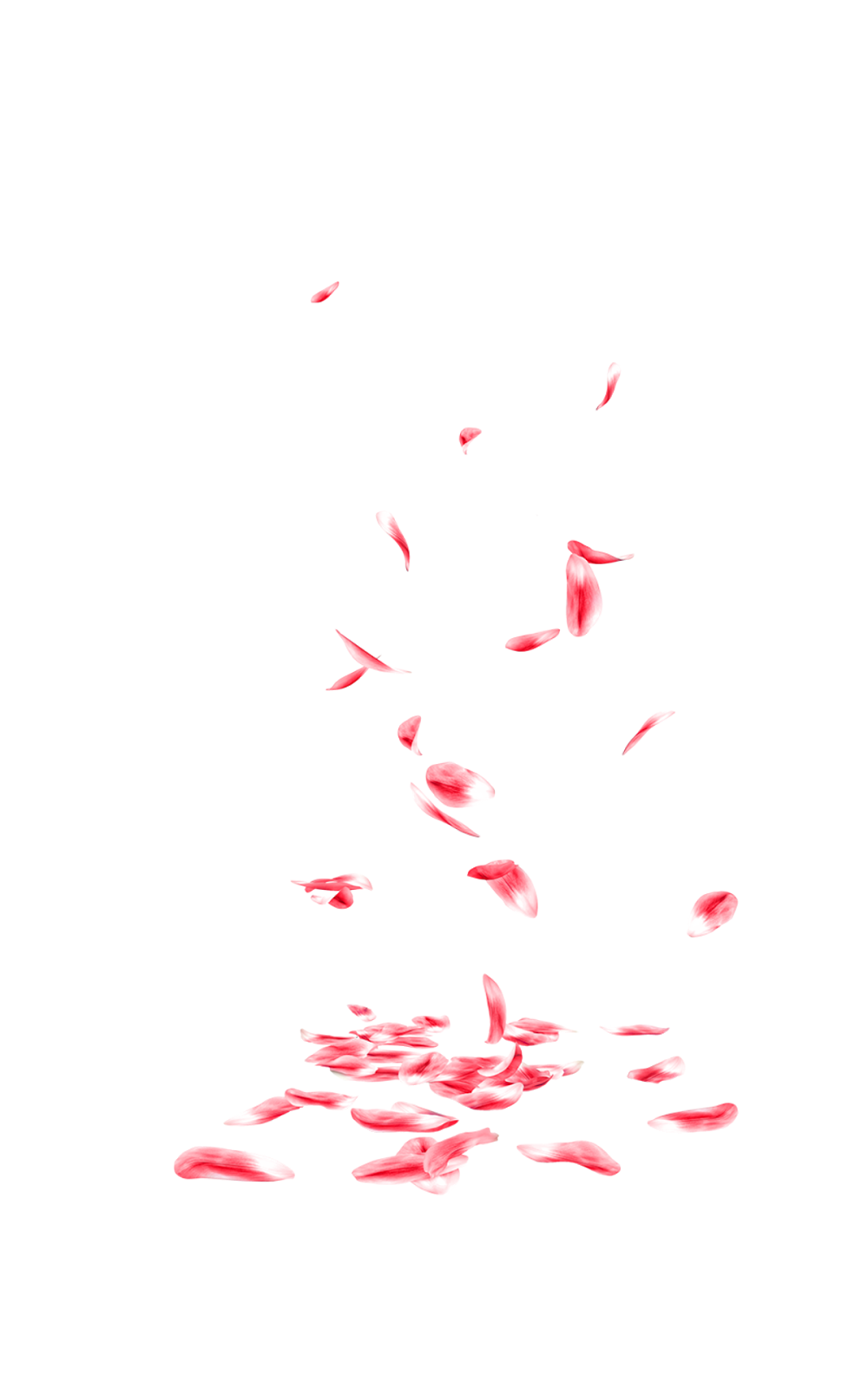 Petals Rose Png Photo (black)