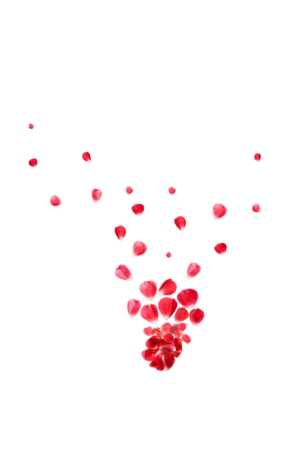 Petals Rose Png (black)