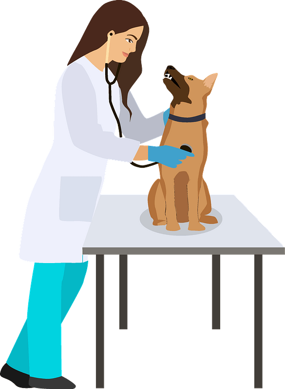 Veterinarian Png Hd Isolated (greenish blue, maroon, lavender, gray)