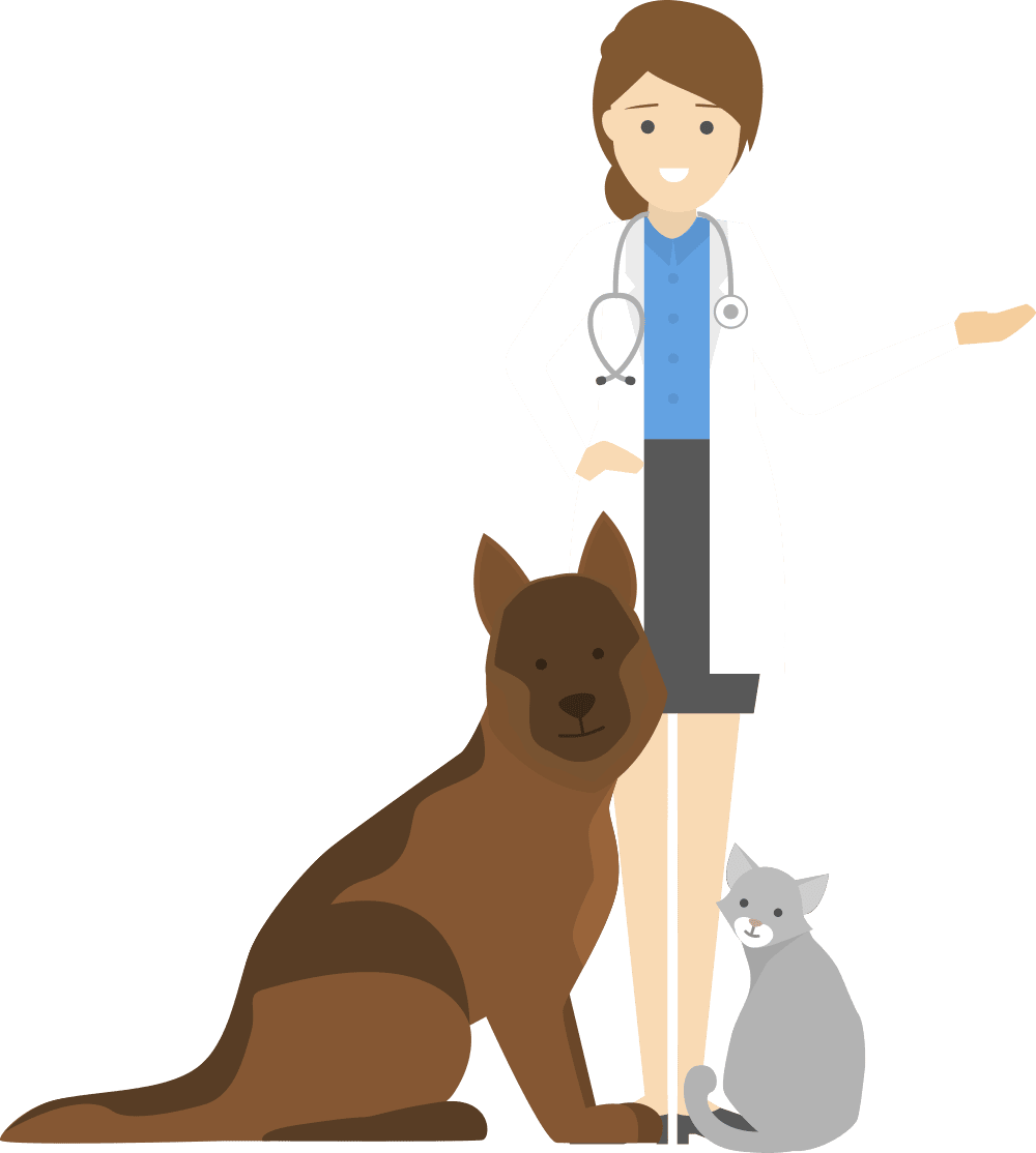 Veterinarian Png Pic (gray, maroon, white, olive, silver)