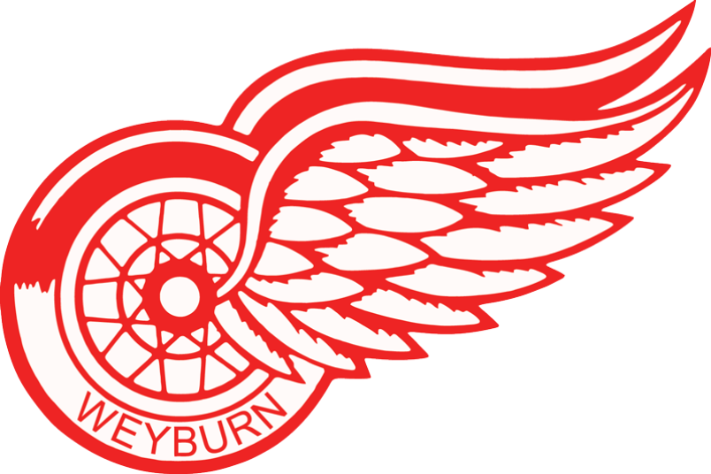 Detroit Red Wings Png (black, white, red)