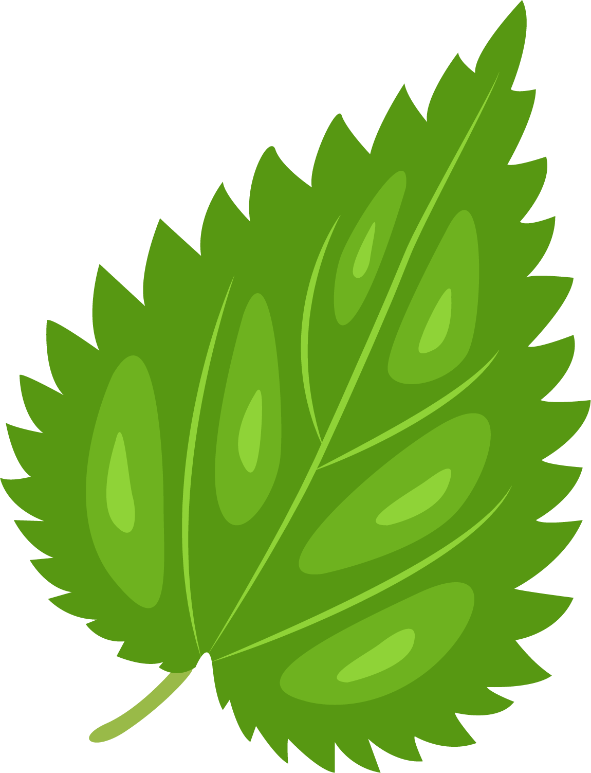 Nettle Png Clipart (black, olive)