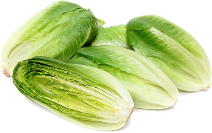 Lettuce Download Png Image (white, black, beige)