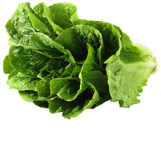 Lettuce Png Clipart (black)