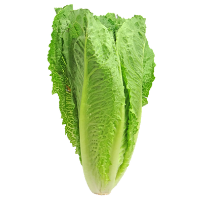 Lettuce Png Hd (olive, black, silver)