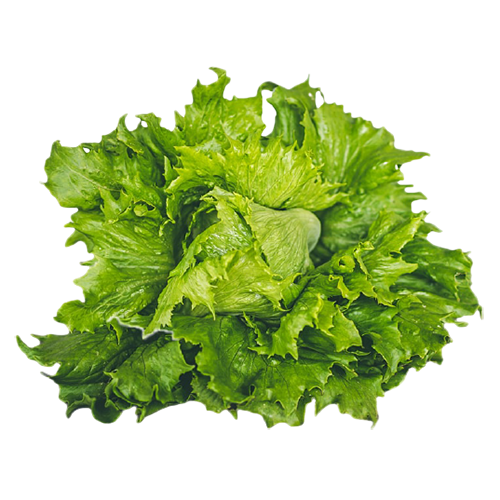 Lettuce Png Transparent (white, gray, olive)