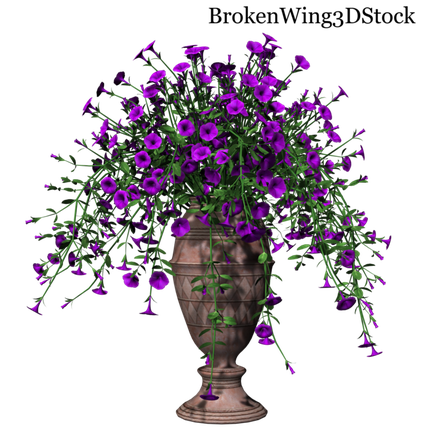 Petunia Transparent Png (black)