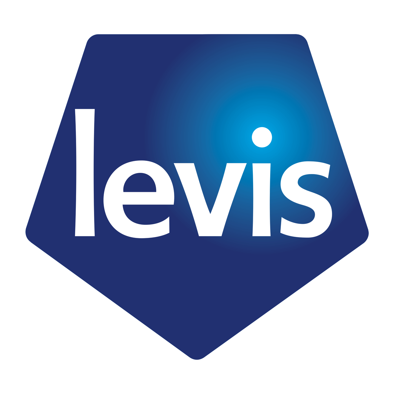 Levis Png File (gray, silver, black, white, navy)