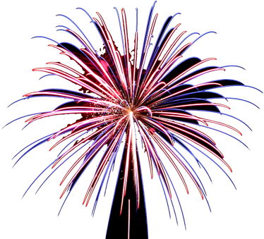 New Year Fireworks Png File (black)