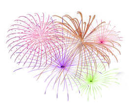 New Year Fireworks Png Free Download (black)