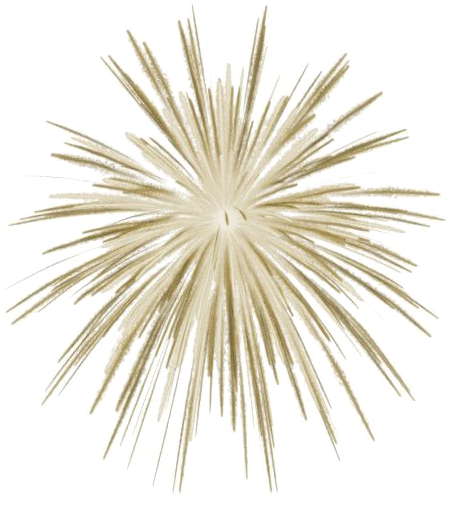 New Year Fireworks Png Image (white, black)