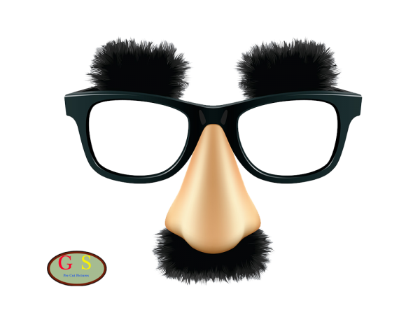 New Year Glasses Png File (black)